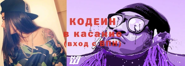 мдпв Туринск