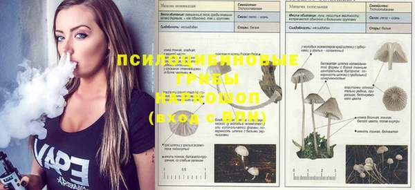 mdma Тобольск