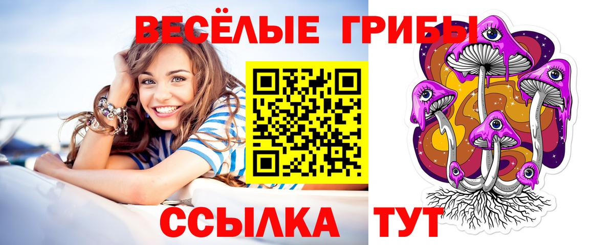 наркота  Галлюциногенные грибы Psilocybe  Мариинск  Вход с VPN  Псилоцибиновые грибы мухоморы 